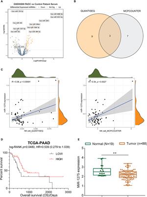 Hypoxia mediates immune escape of pancreatic cancer cells by affecting miR-1275/AXIN2 in natural killer cells